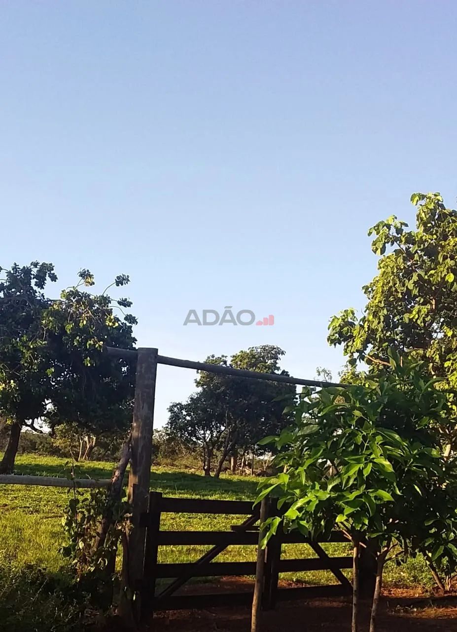 Fazenda Amorinopolis 7 Alqueires - Foto 4