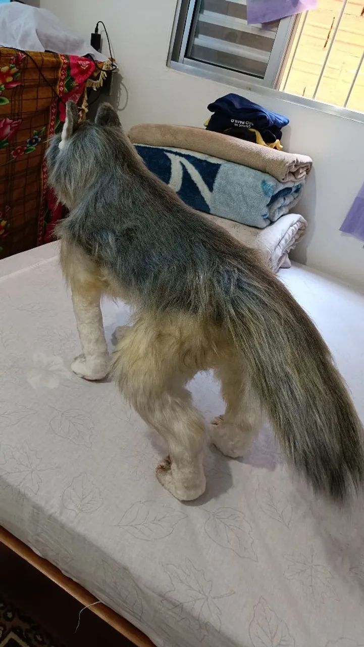 Cachorro 3D feito a mão - Foto 5