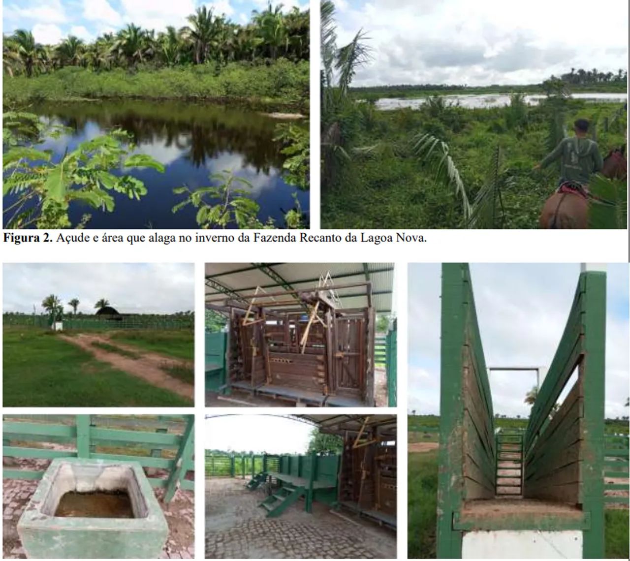 Fazenda Recanto da Lagoa Nova 21.728.700m² - Foto 4