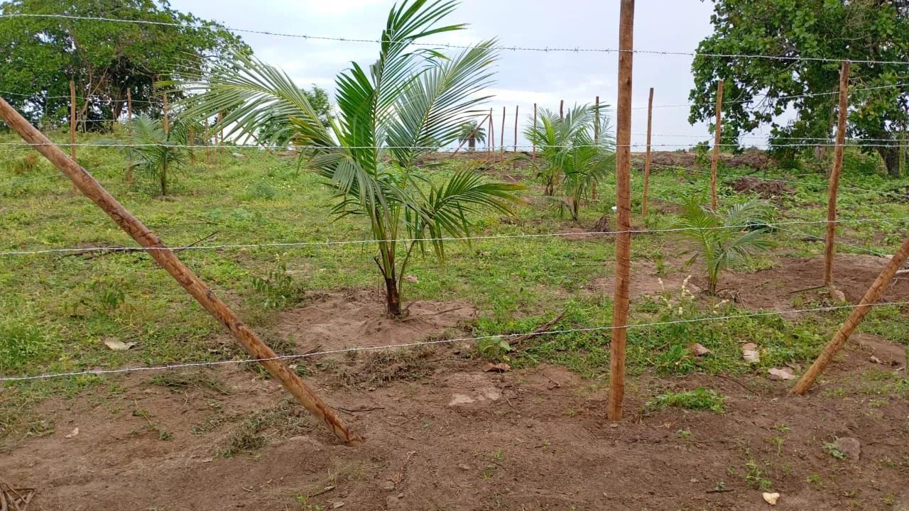 Vende se terreno 