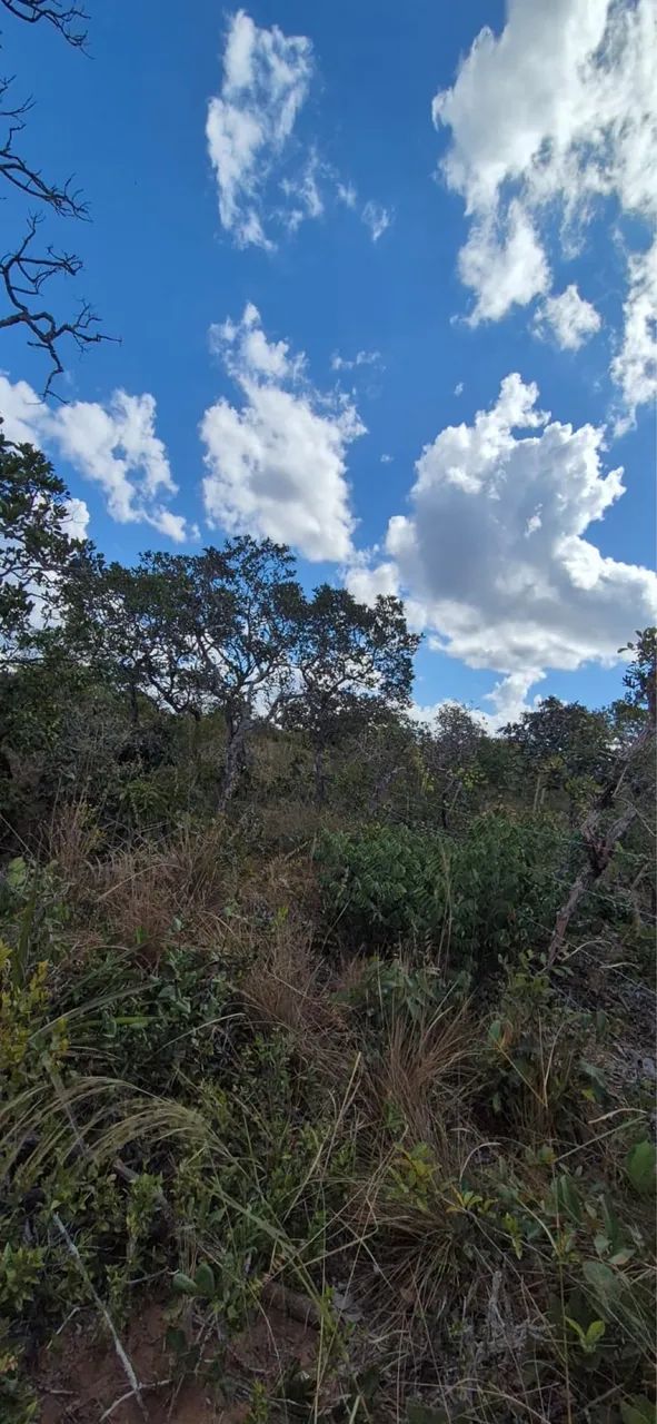 Foto - Chapada dos Guimarães - 