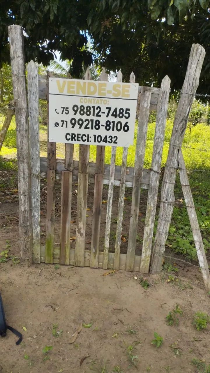 Vendo lotes e sítio  - Foto 4