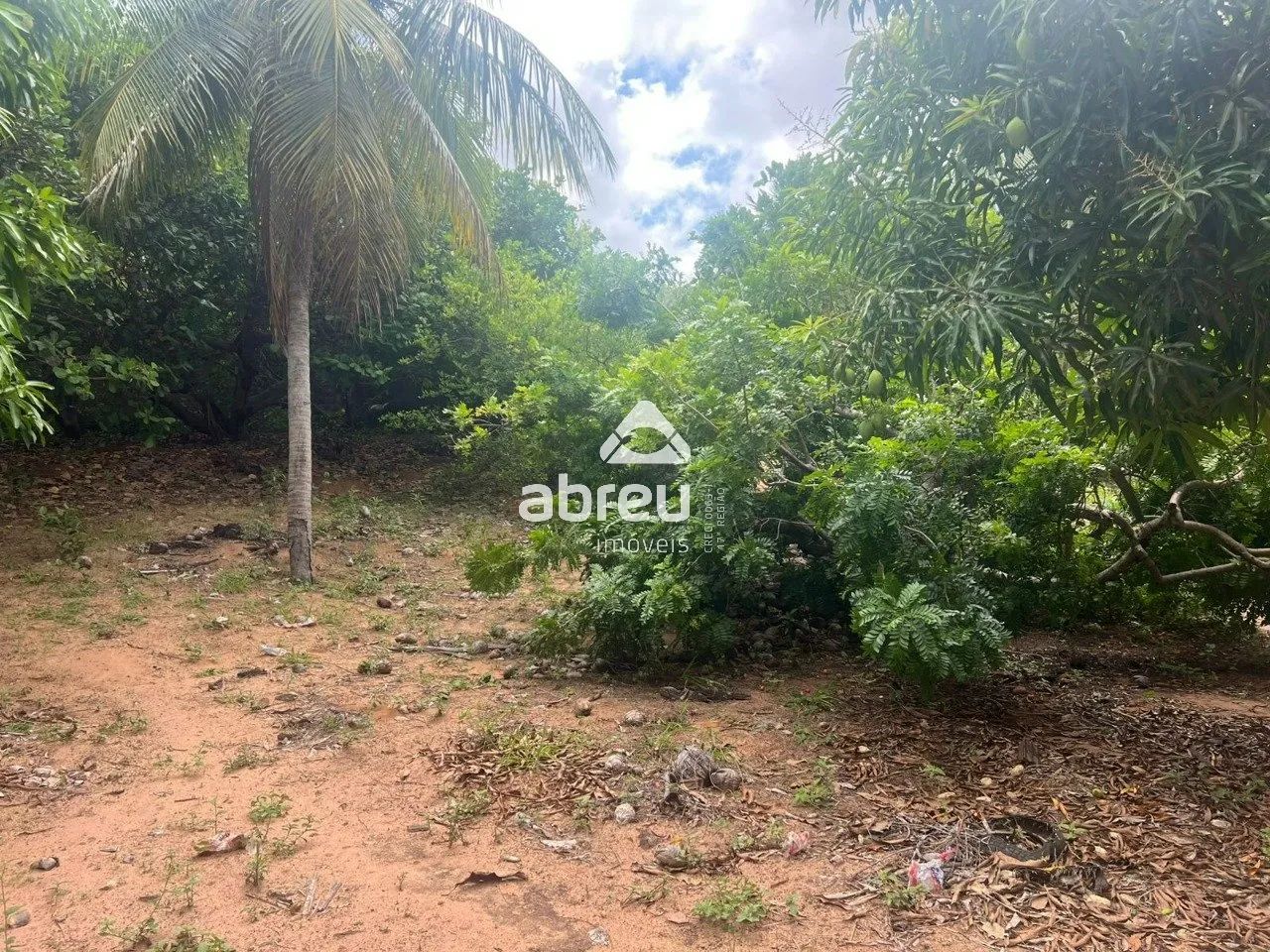 Terreno Padrão em Natal - Foto 5