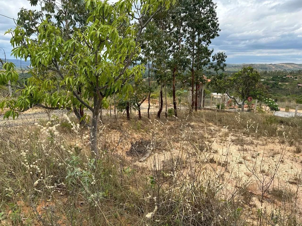 Foto - Caetanópolis - 