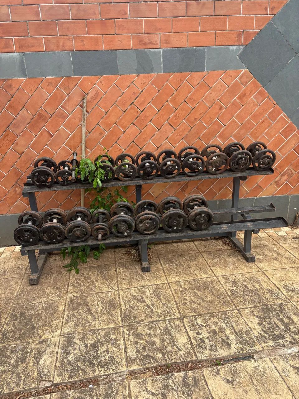 Equipamentos academia 