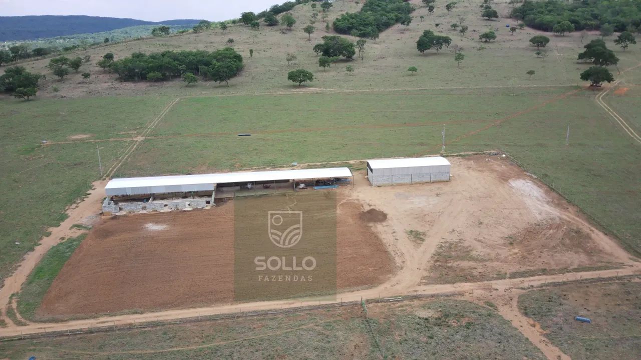Fazenda formada 25 alqueires no Varjão - Foto 2