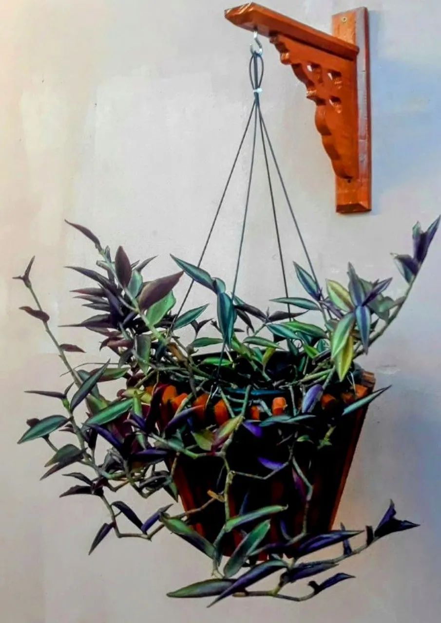 SUPORTE PARA PLANTAS? EM MADEIRA ? - Foto 4