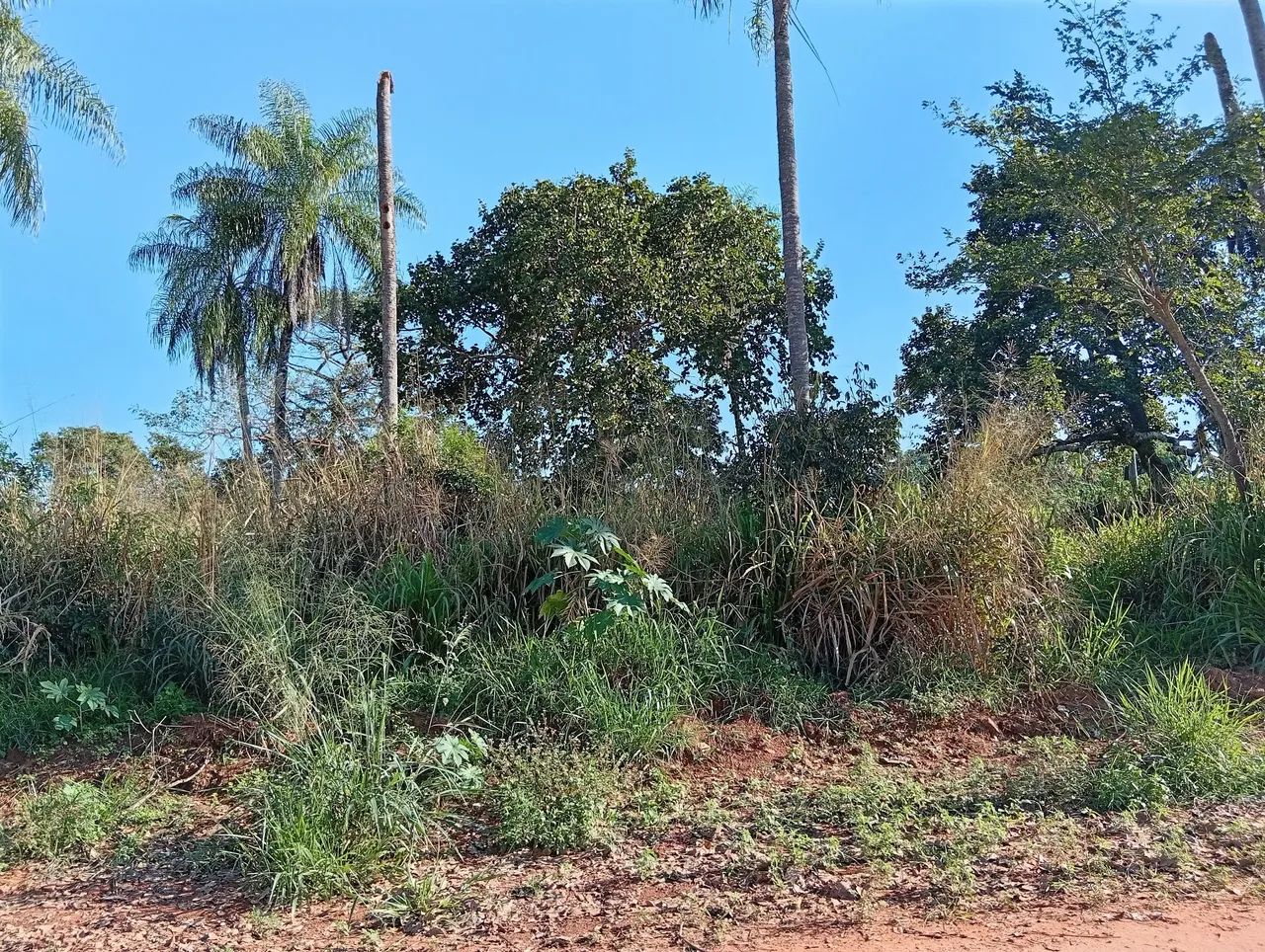 Vendo ou troco  - Foto 2