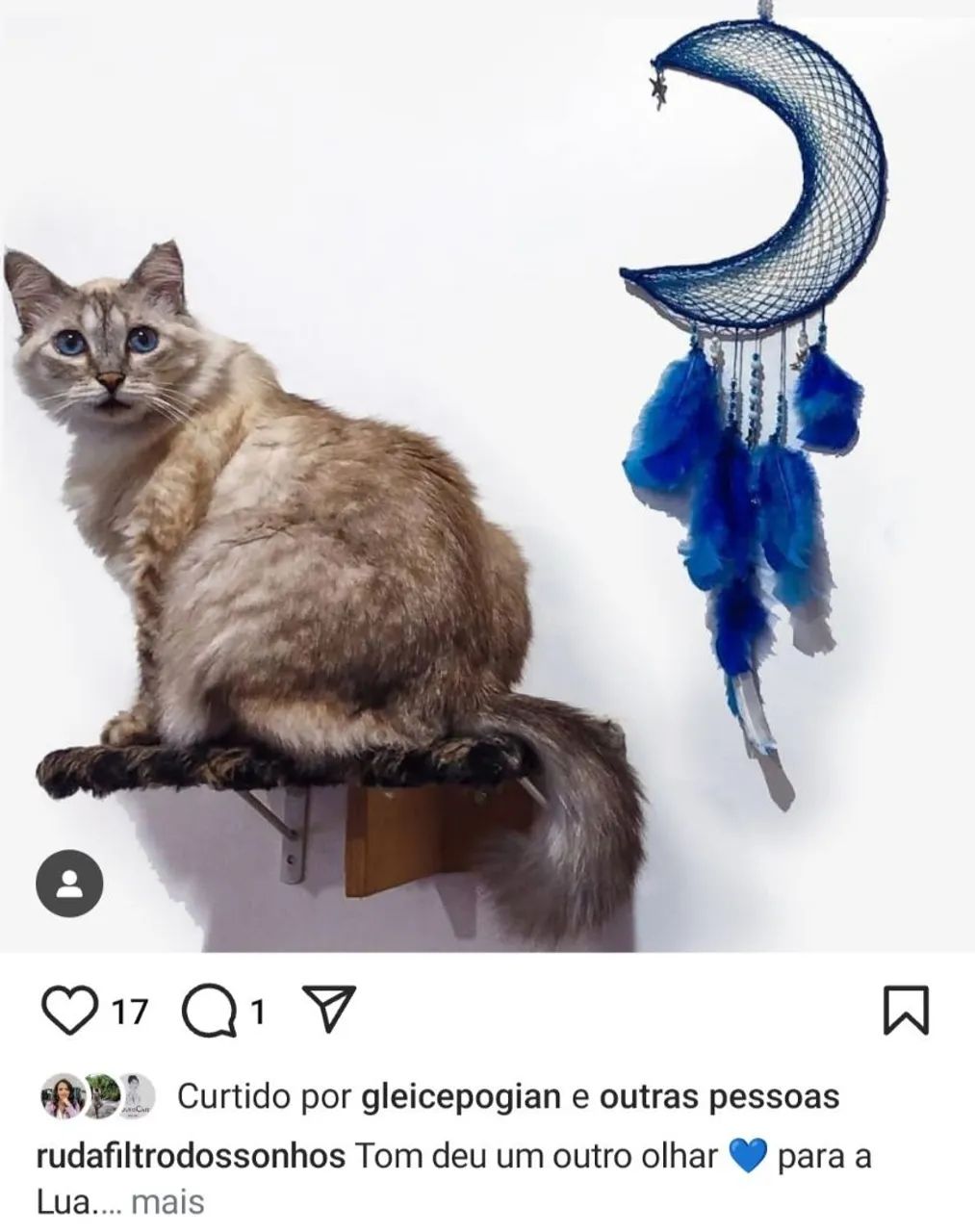 Filtro dos sonhos lua nova