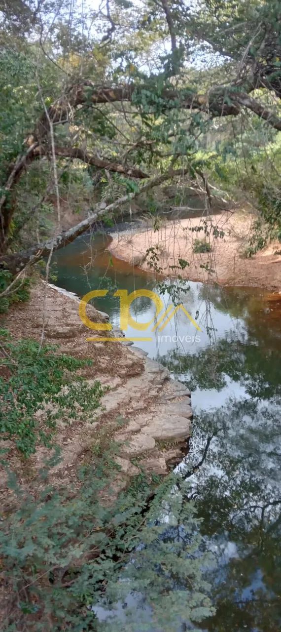 Terreno oportunidade, com pomar, arvores nativas. - Foto 2