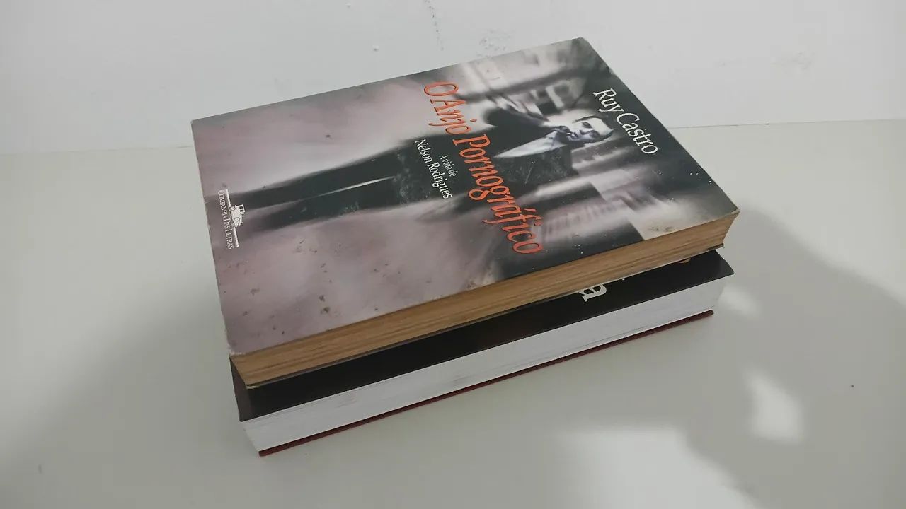 2 Obras RUY CASTRO - Foto 4