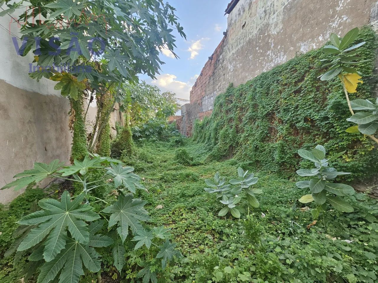 Terreno Comercial em Nova Betânia - Mossoró - Foto 2
