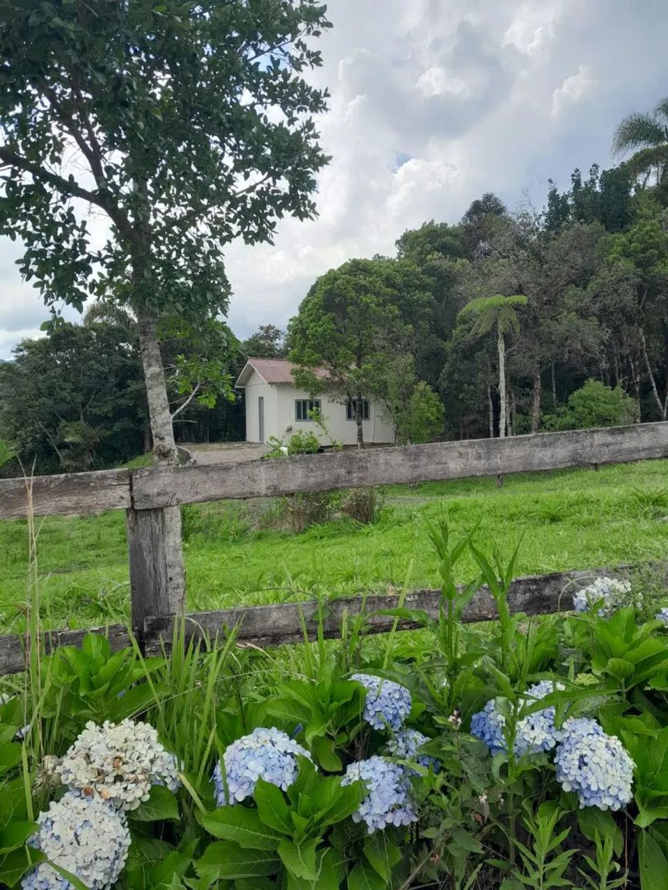 Vendo ou troco sitio chacara no município de Angelina  - Foto 3