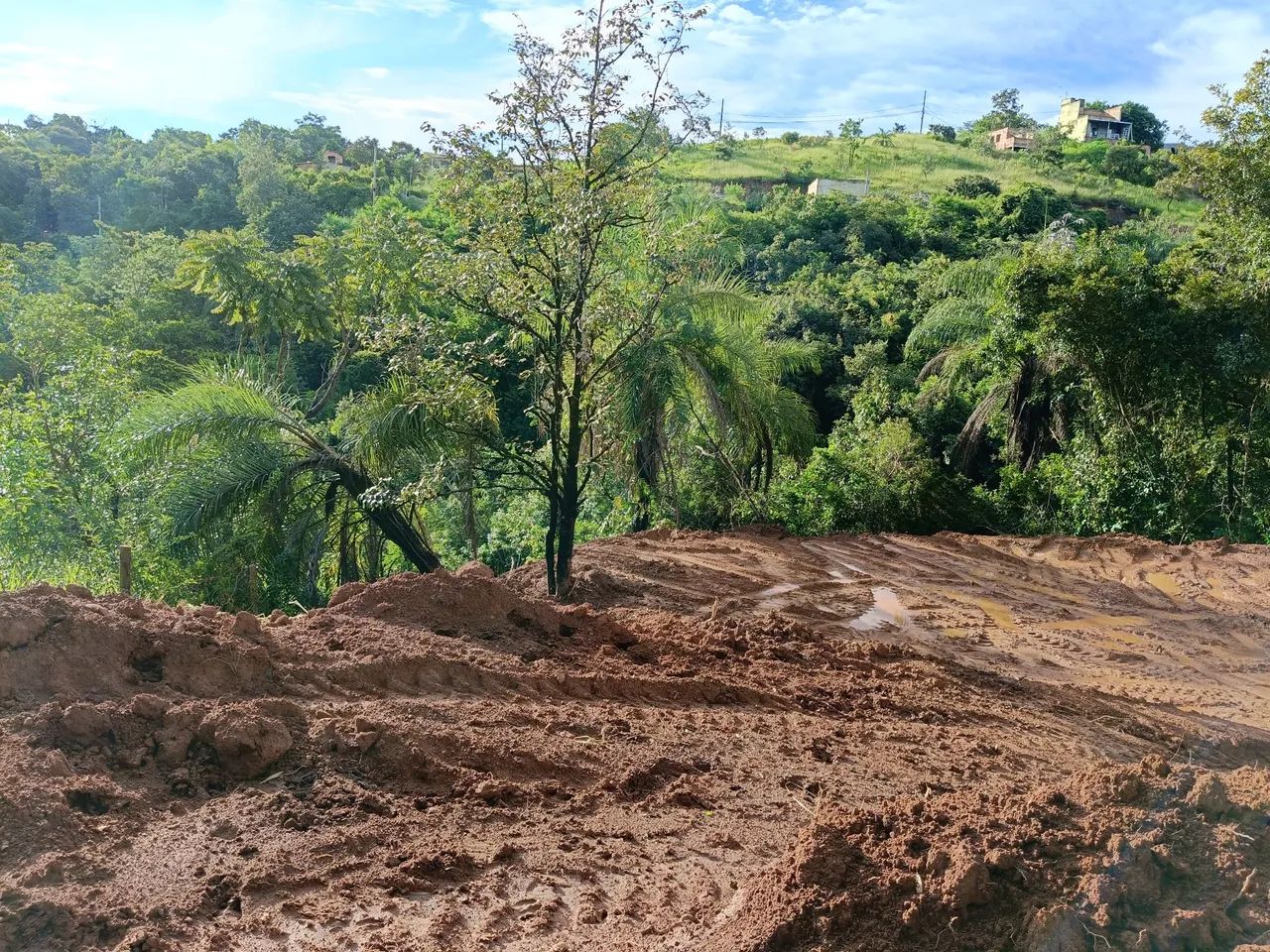 CHÁCARA A VENDA JEQUITIBÁ EM IGARAPÉ. - Foto 3