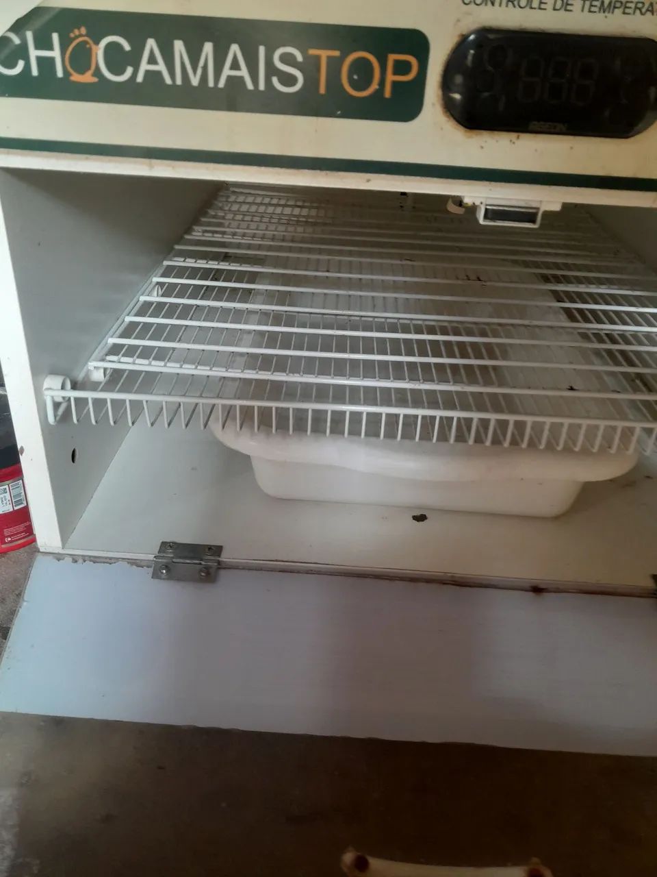 Chocadeira  - Foto 2