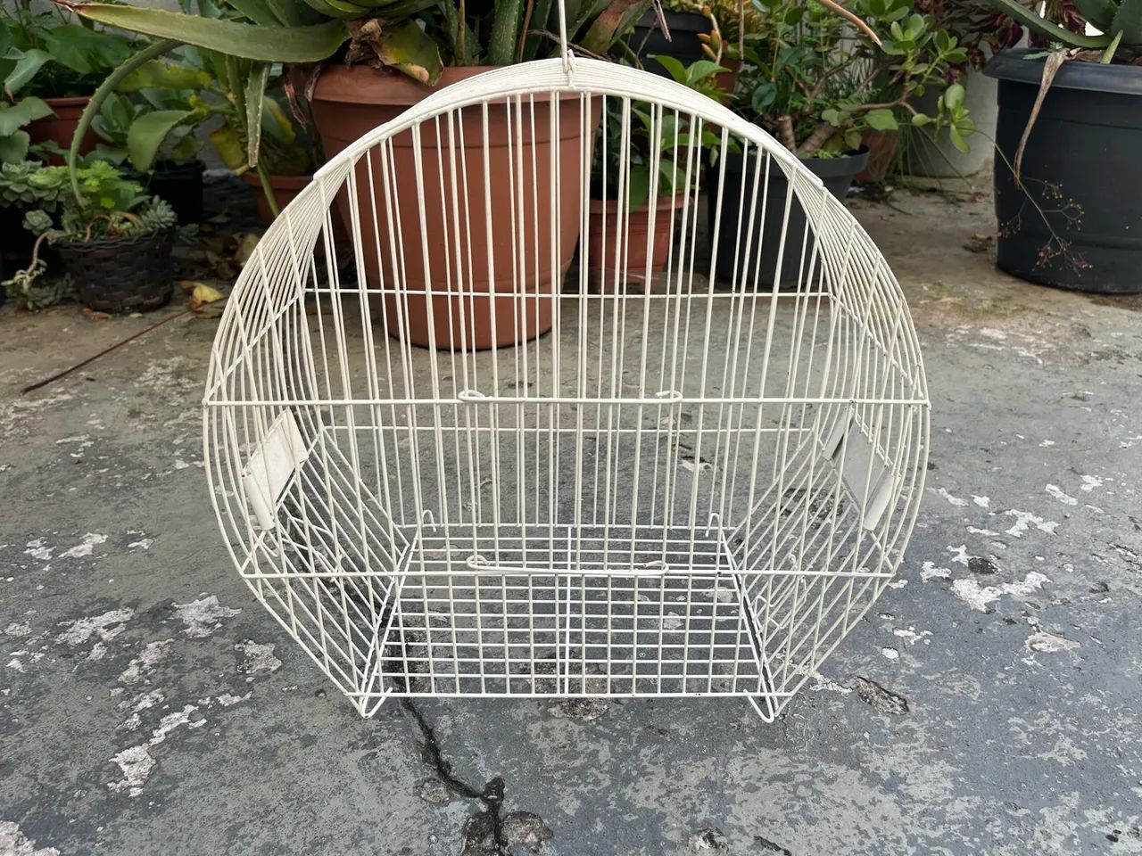 Gaiola - Foto 2