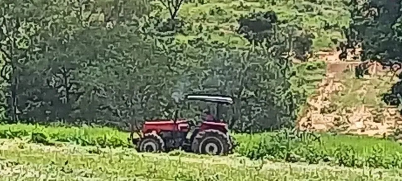 FAZENDINHAS FINANCIADAS em 180 vezes em Paraopeba - Foto 3