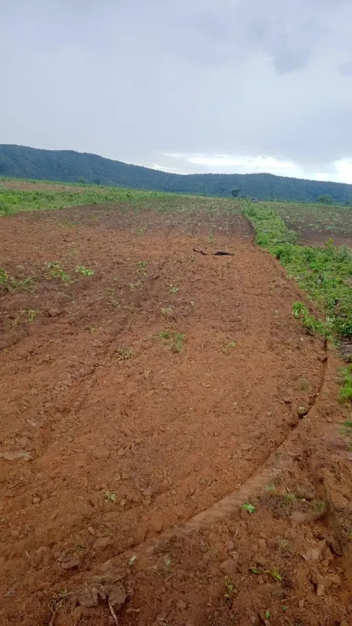 Fazenda a venda, em Peixe Tocantins!!! - Foto 2