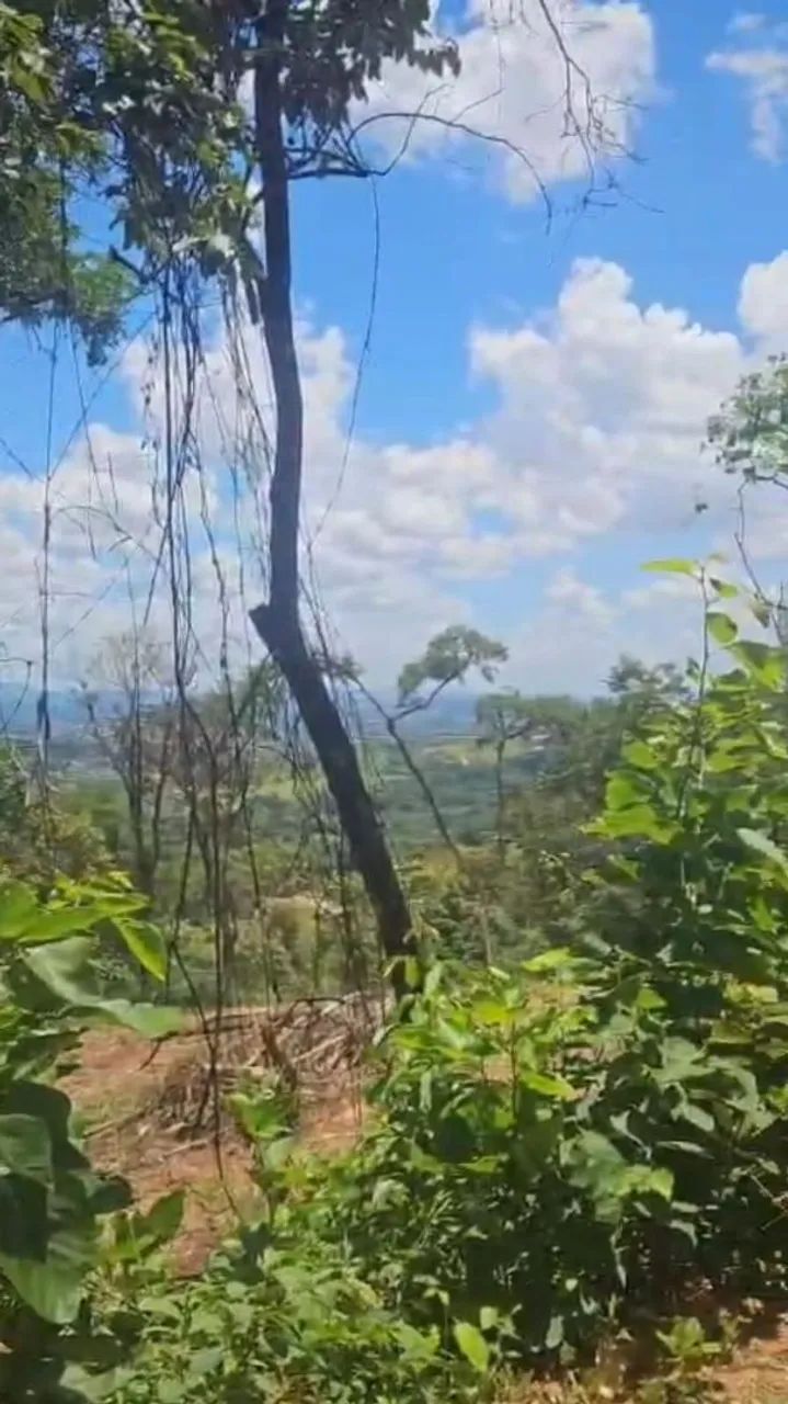 Lote São Joaquim de Bicas Oportunidade  - Foto 3
