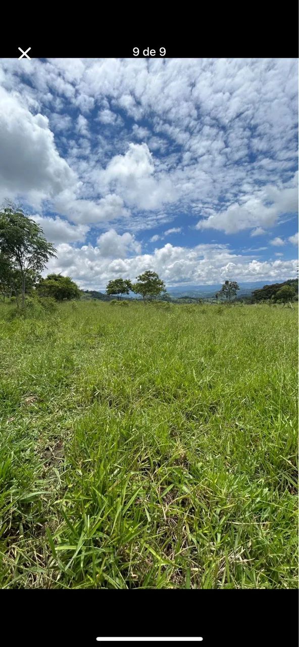Terreno de 2,5 hectares  - Foto 2