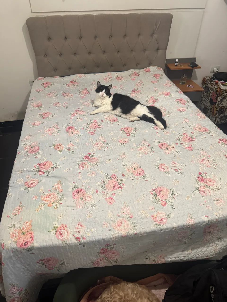 Cama casal completa, box, colchao d28 e cabeceira