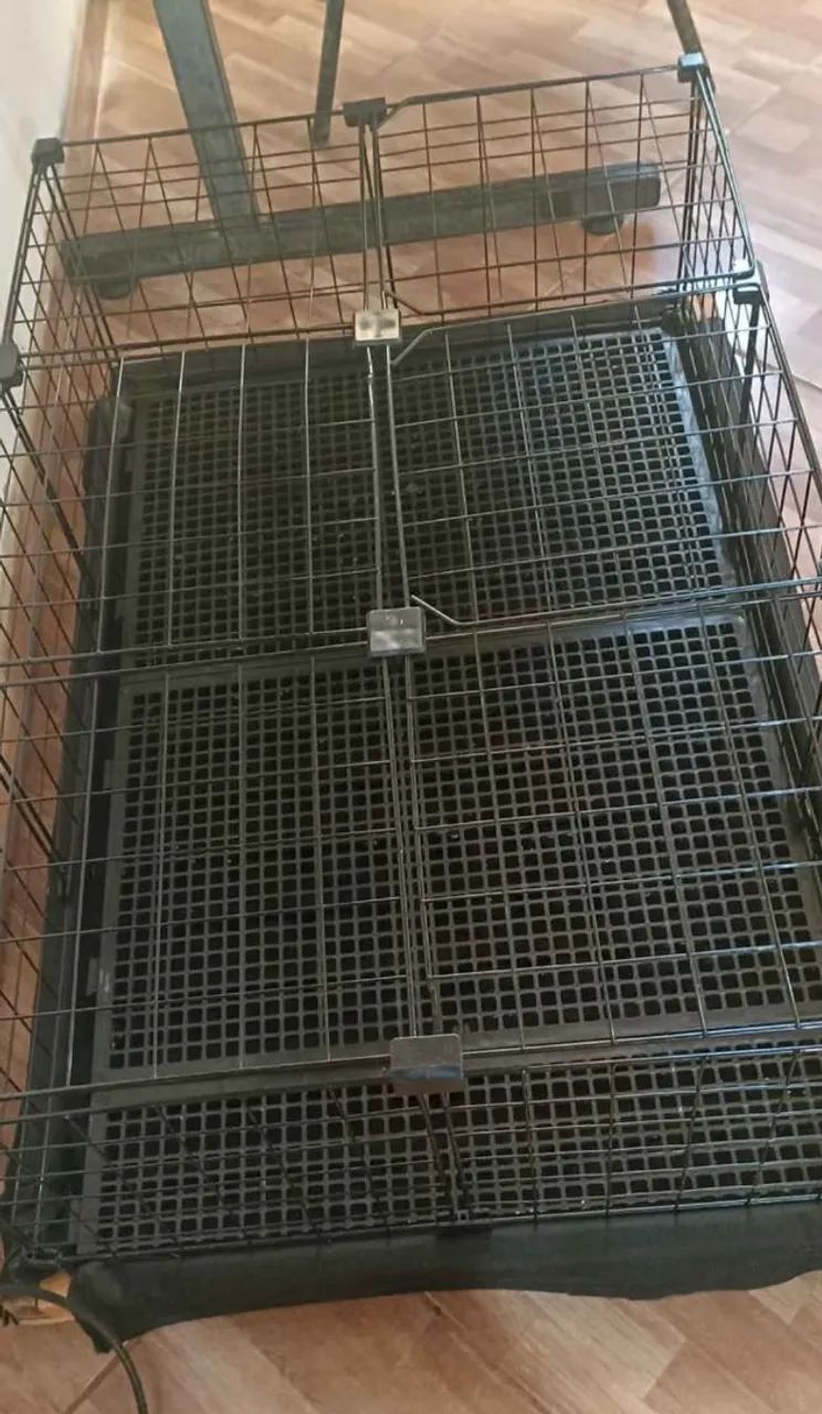 Gaiola para porquinho da Índia 