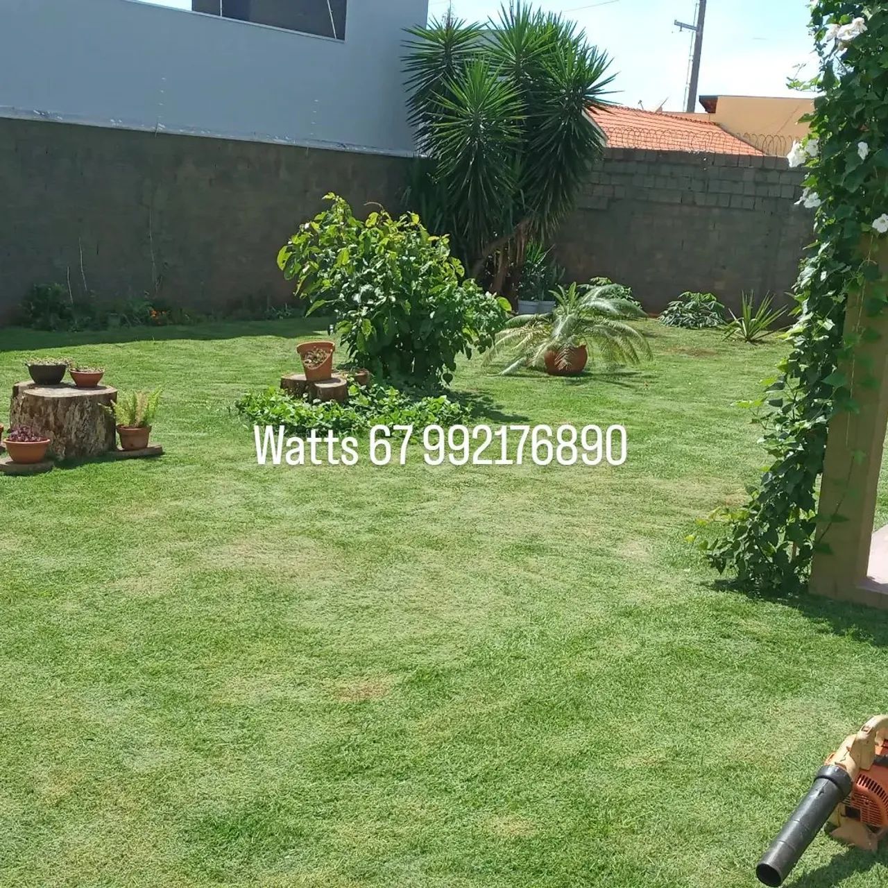 Jardineiro gramas e terrenos em geral 