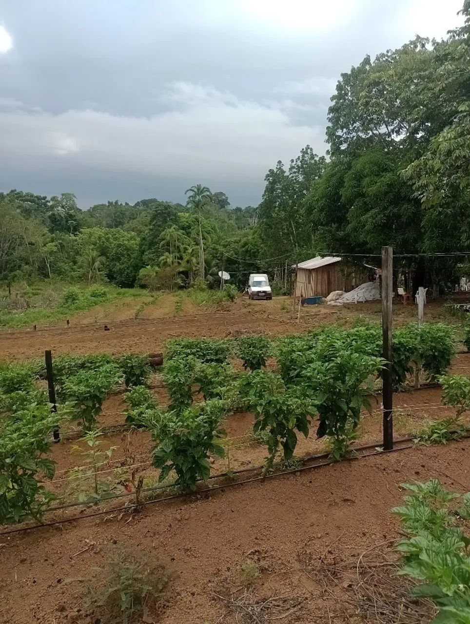 Vendo terreno  - Foto 4