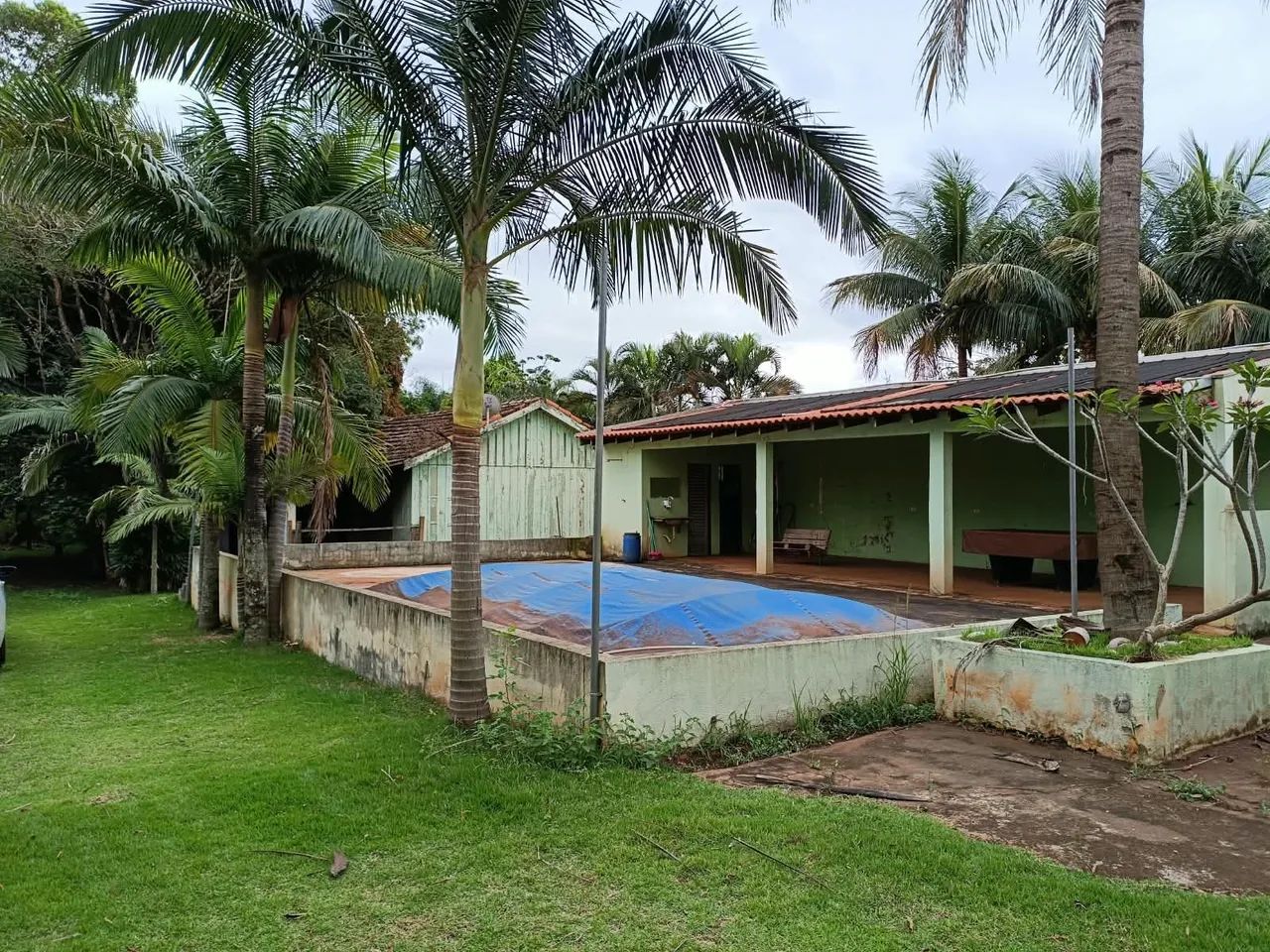 Chácara molhada  - Foto 4