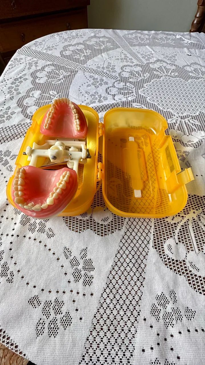 Manequim de Dentística Pronew  - Foto 2