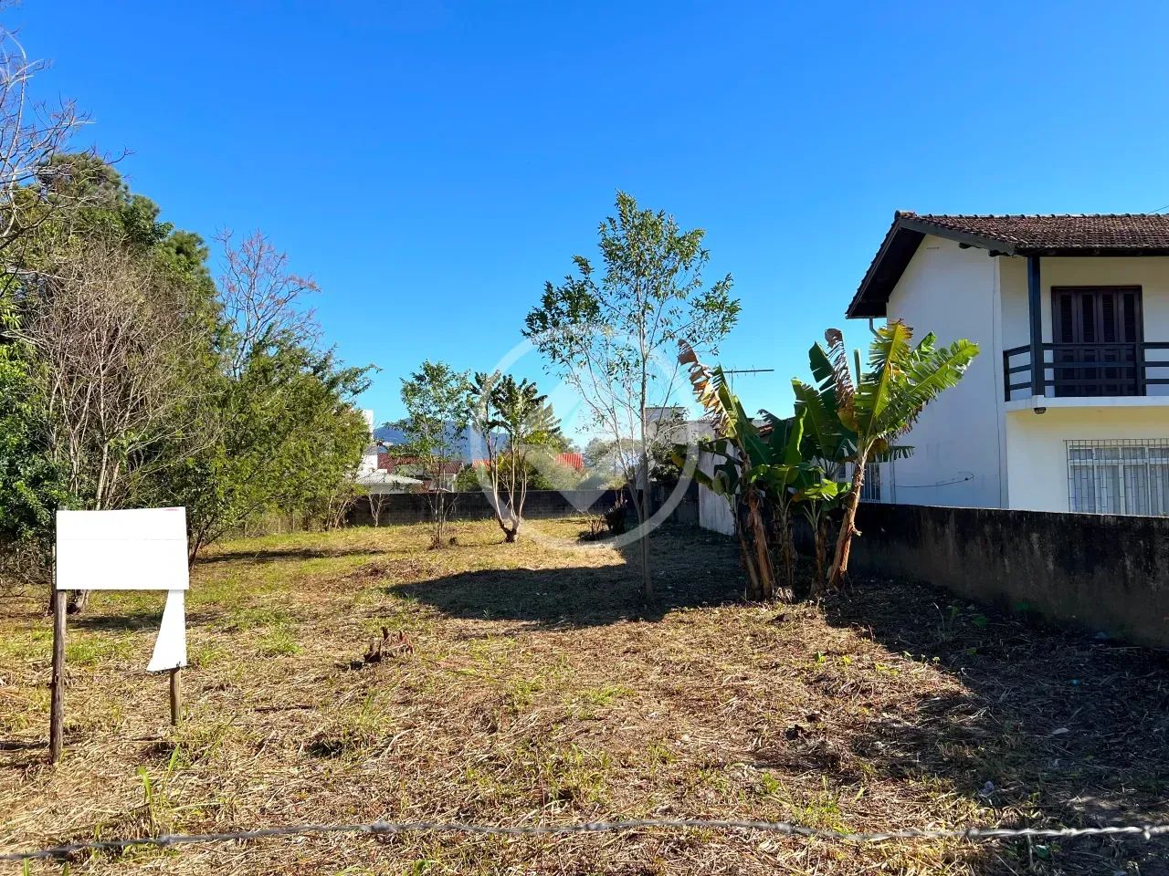 Terreno no Campeche Central - Foto 4