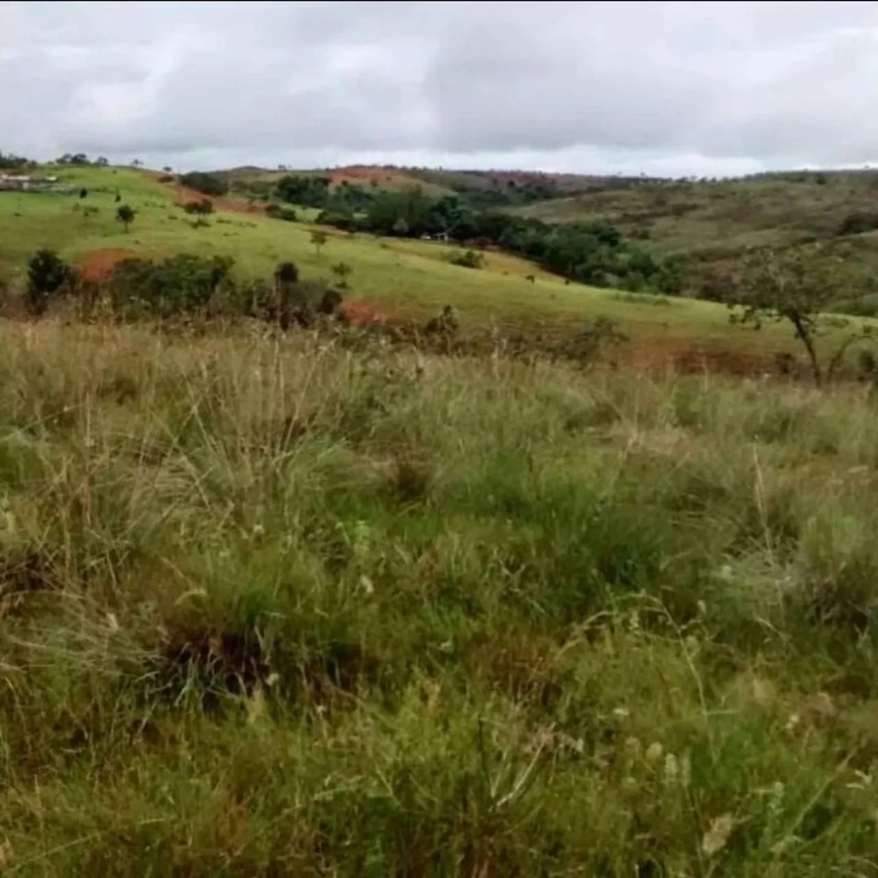 Fazenda sentindo campo florido  - Foto 4