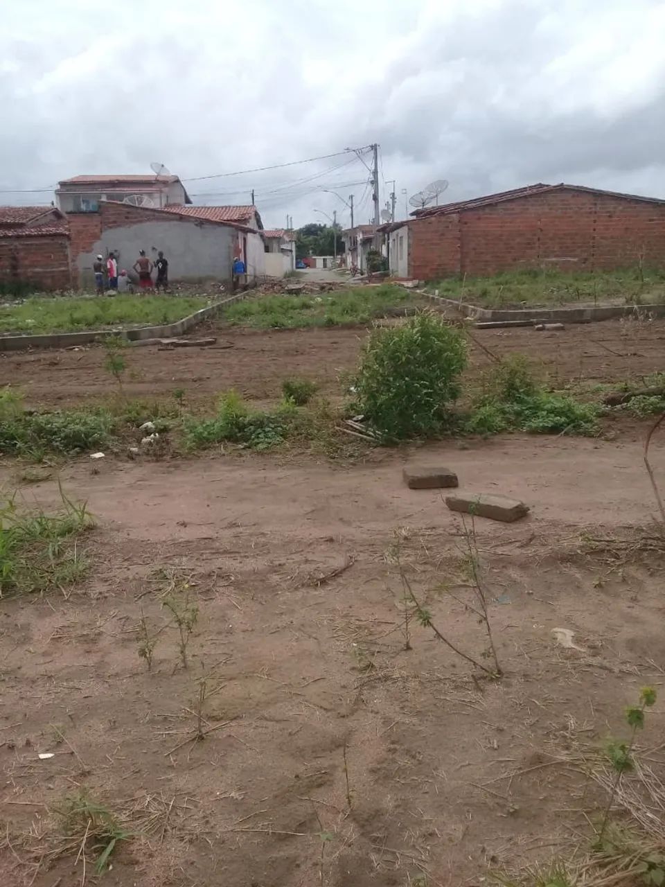 Lote - Foto 3