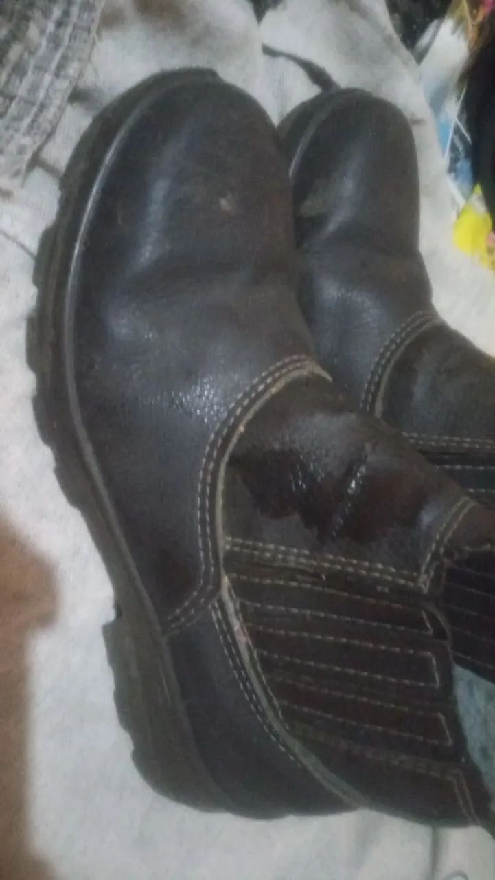 Bota