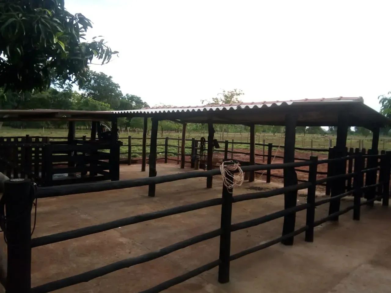 Chacara com 7 Hectares a venda em Tereno MS - Foto 4