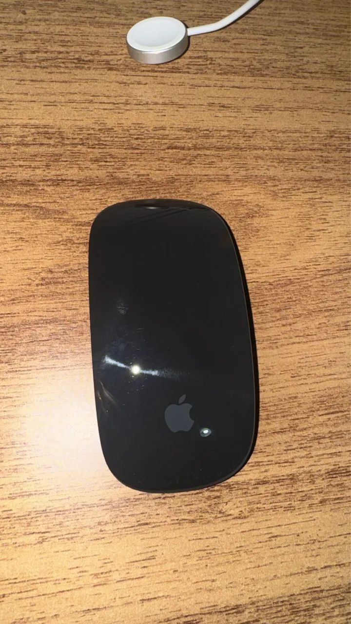 Magic mouse 2