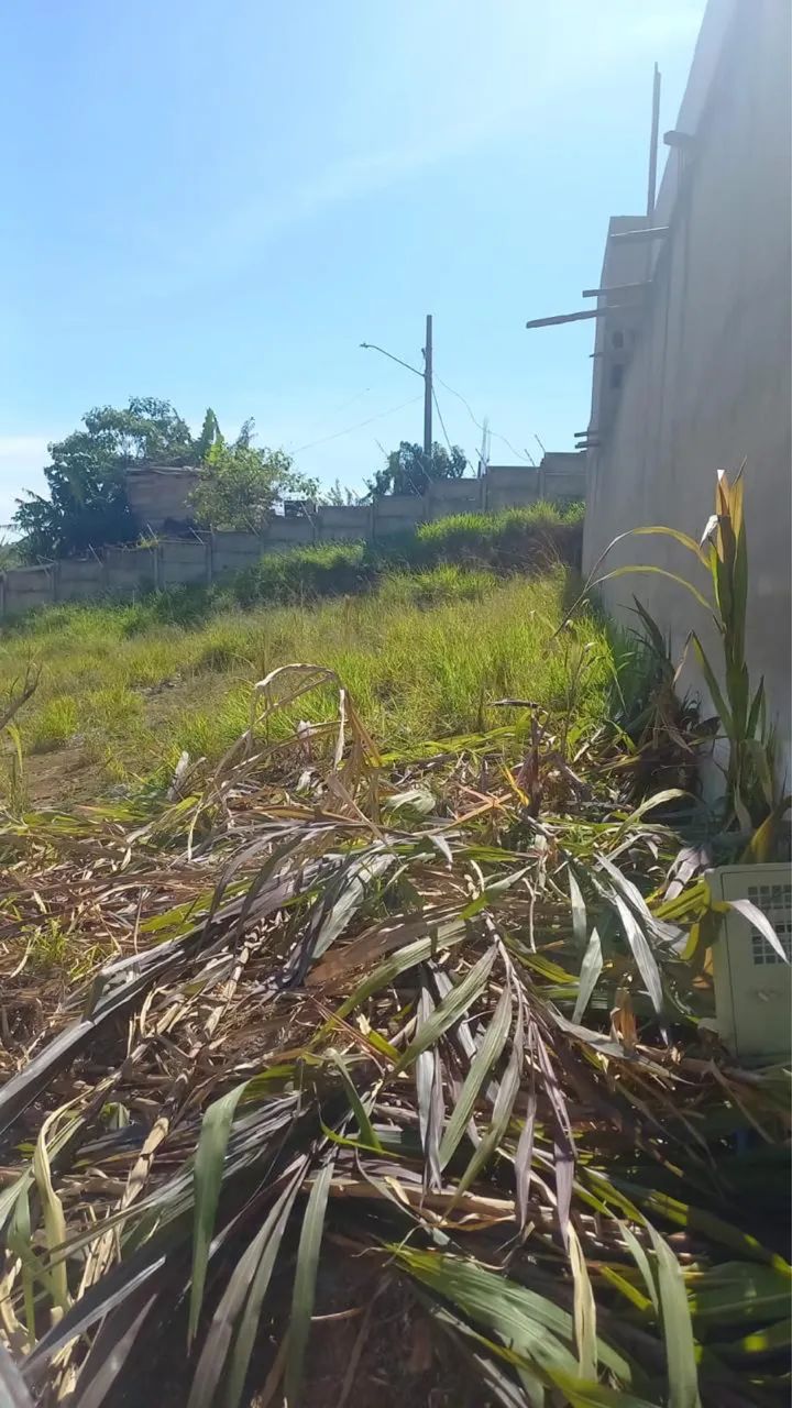 Terreno jardim Ângela  - Foto 2