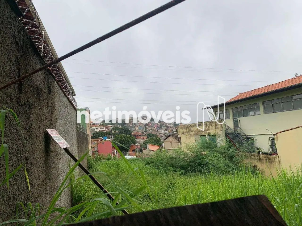 Excelente Oportunidade Lote Plano!!! - Foto 3