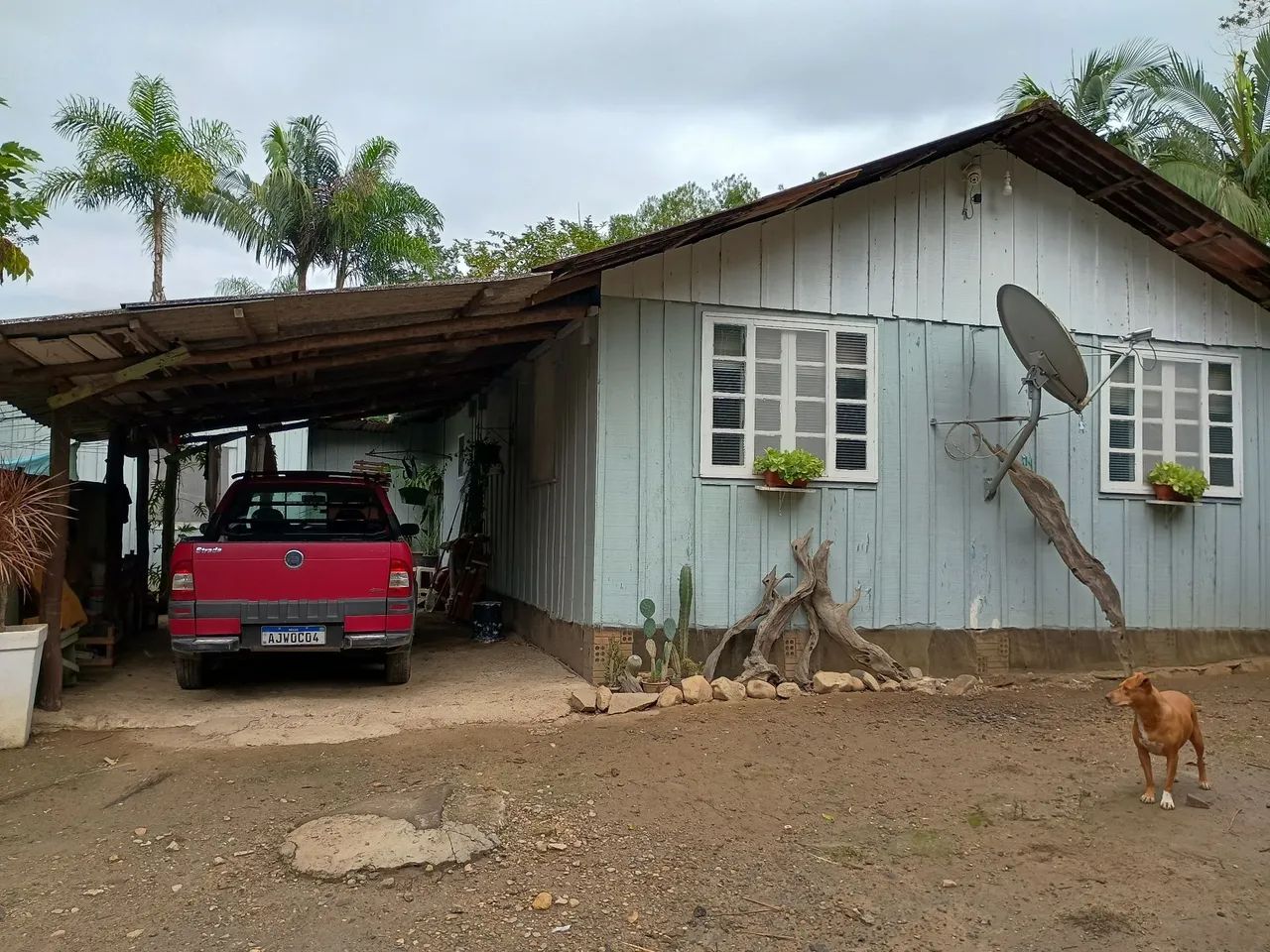 Chácara em Antonina  - Foto 2