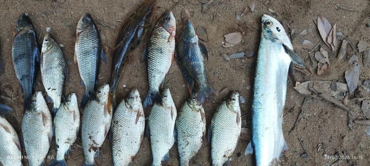 Rancho ótimo para pesca e lazer 