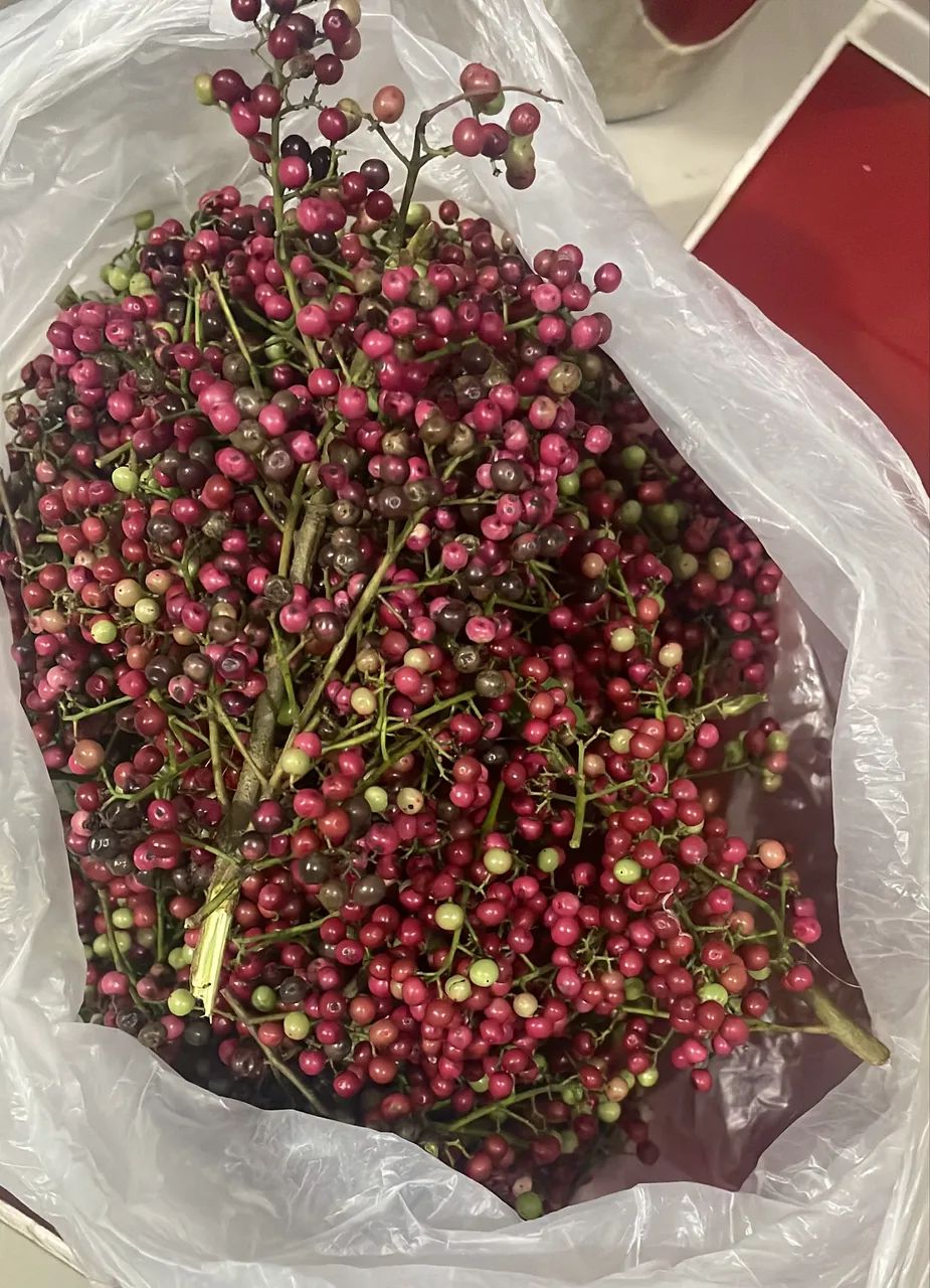 Vendo pimenta rosa de aroeira direto da safra. - Foto 3