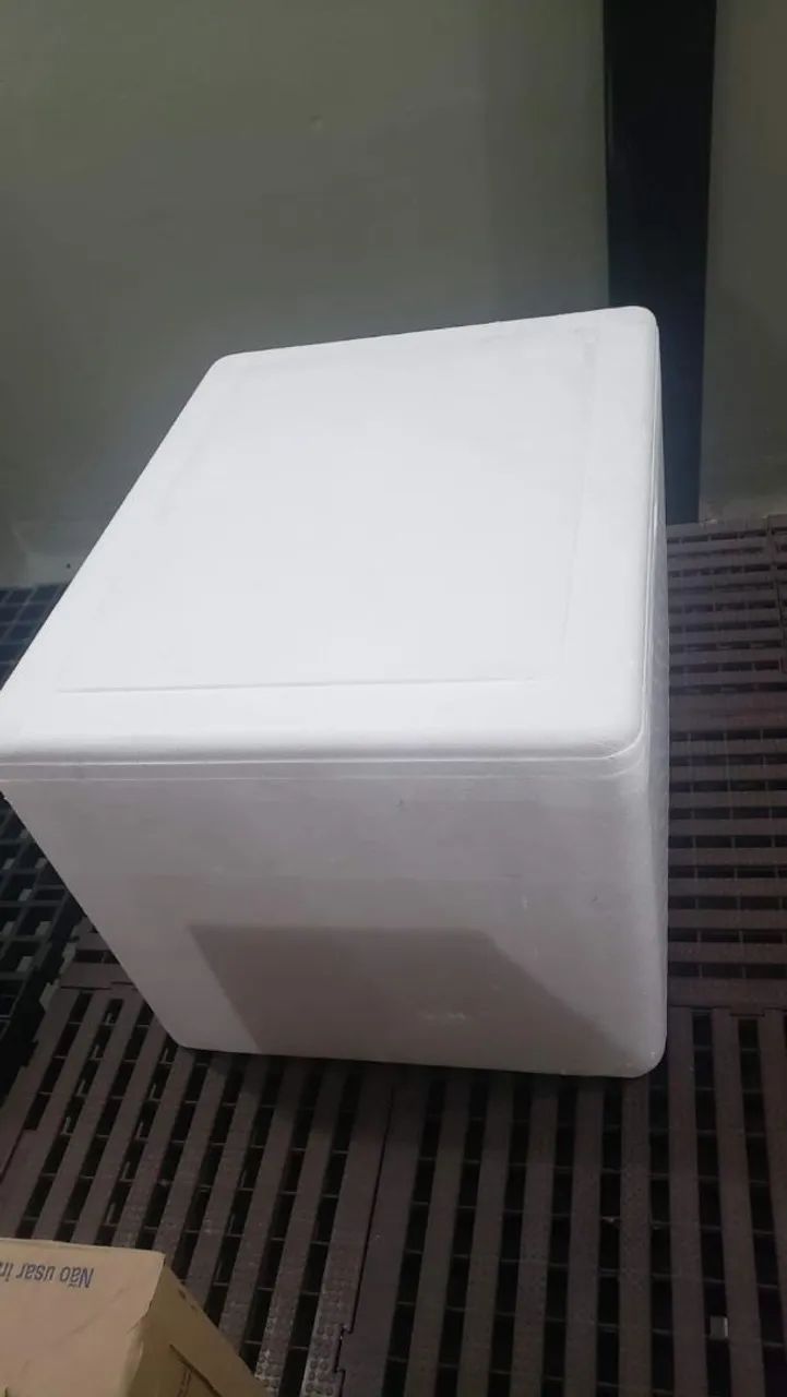 Caixa De Isopor Grande - Foto 2