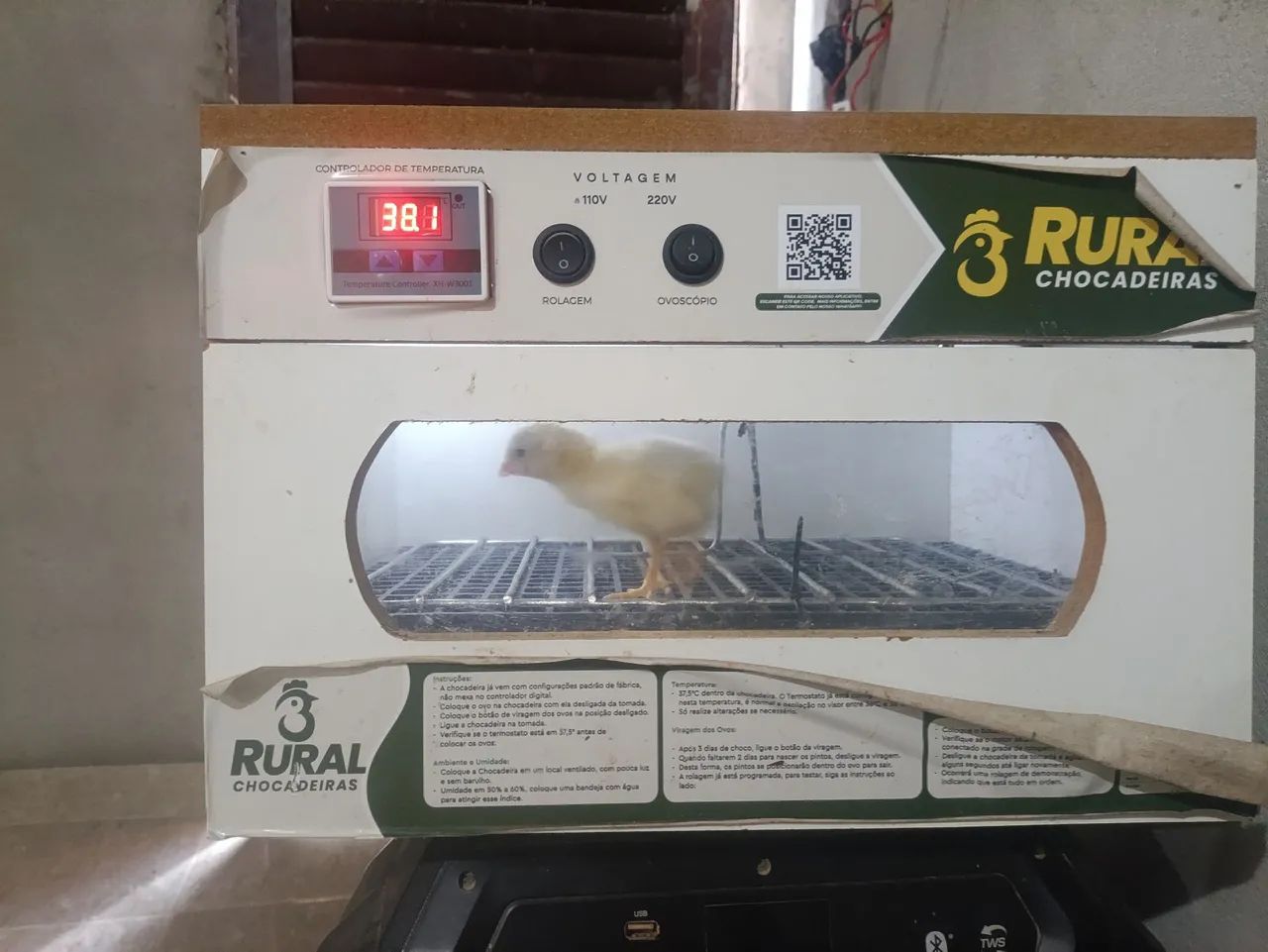 Chocadeira  - Foto 4