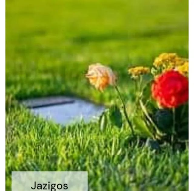 Descanse em paz - Foto 3