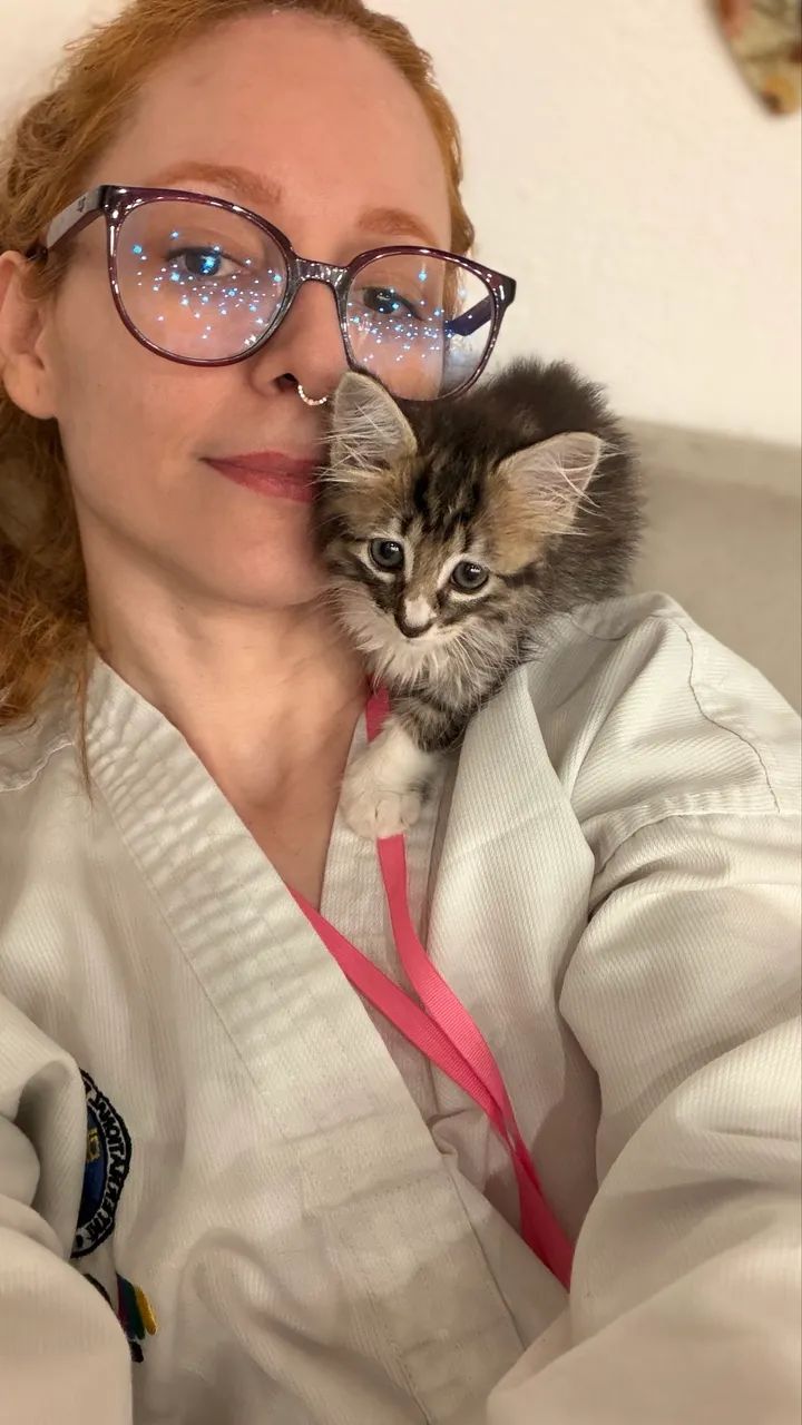 Petsitter - Babá de animais - Gato, Cachorro, Coelho - Foto 2