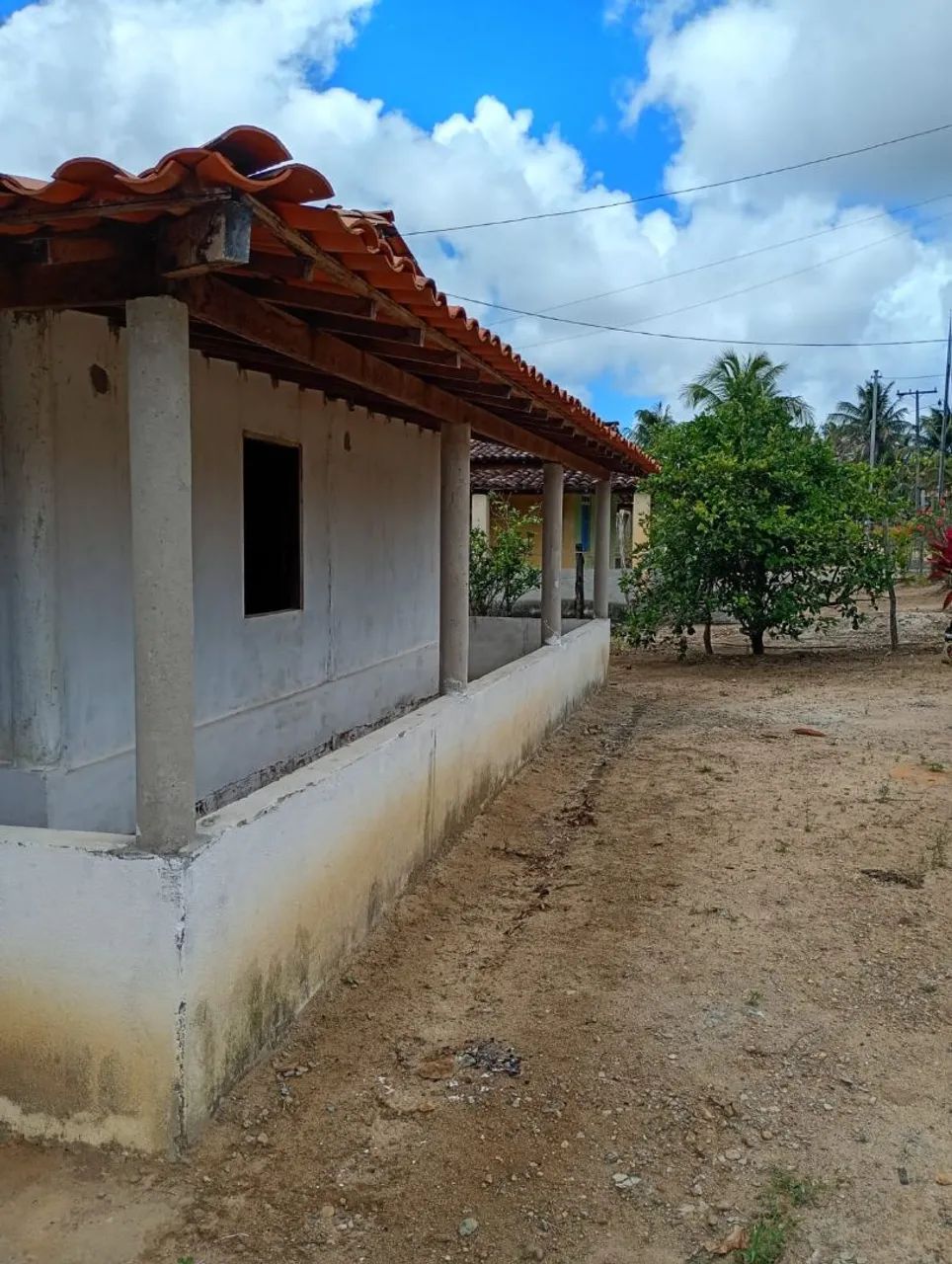Terreno com casa, área externa e plantações  - Foto 3