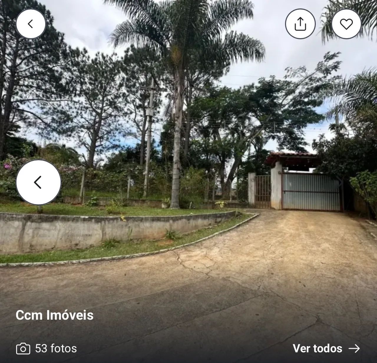 Sitio com 4400m - Foto 4