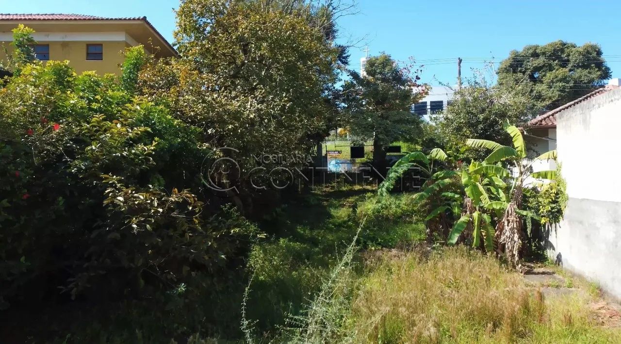 TERRENO - 444m² - BOM ABRIGO - PRÓXIMO A VIA GASTRÔNOMICA DE COQUEIROS - FLORIANÓPOLIS - Foto 4