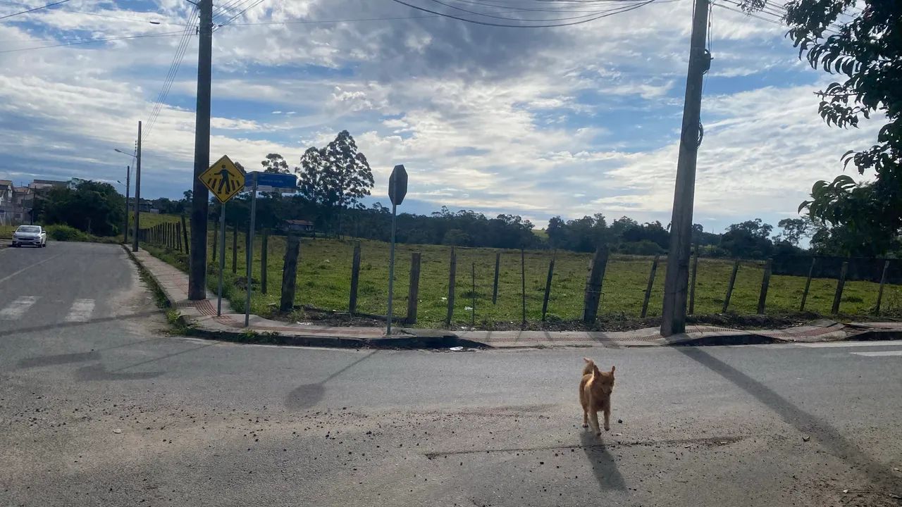 Ótimo terreno, ótima localização  - Foto 4