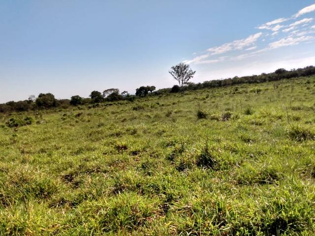 Fazenda, terra boa e pronta! - Foto 2